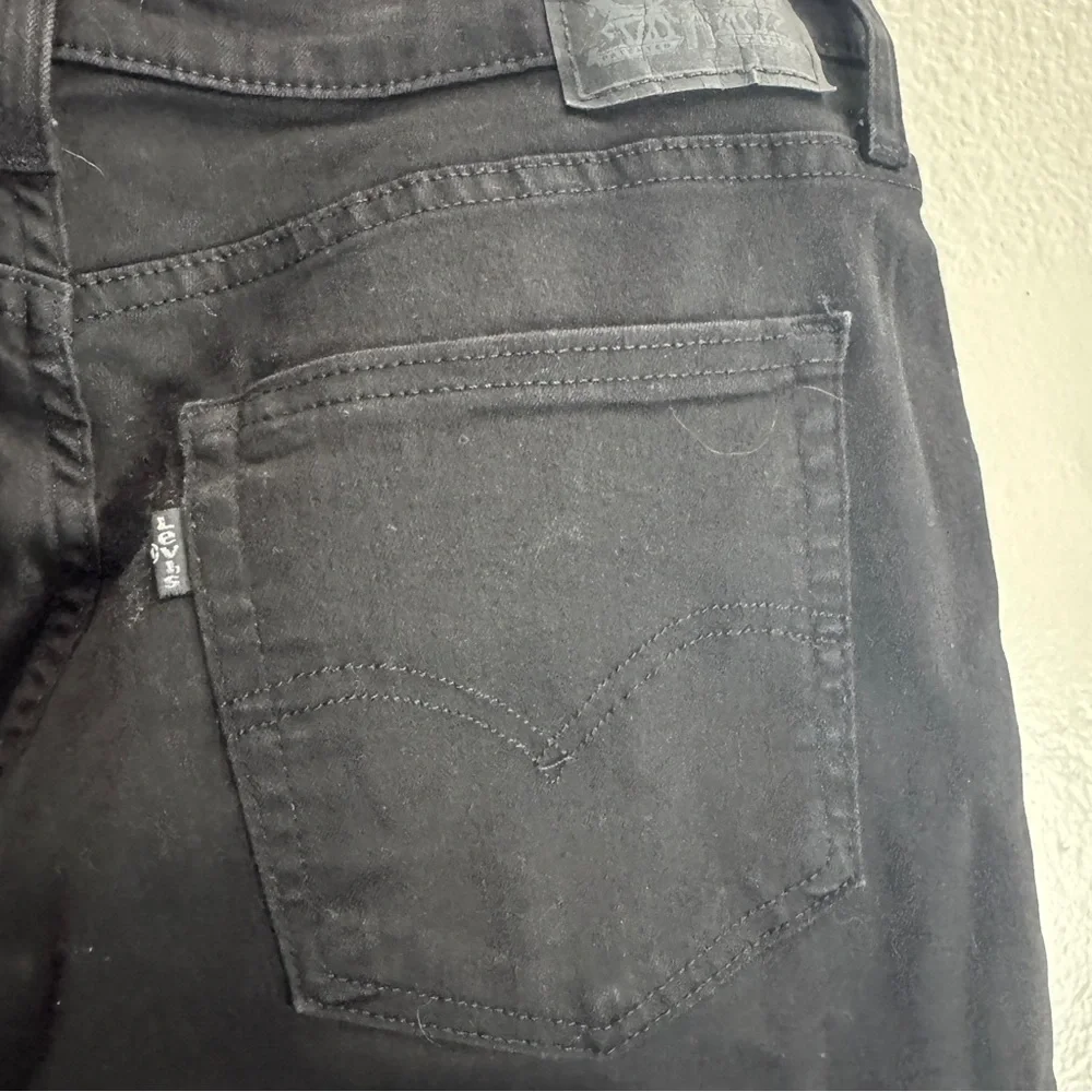 Levis levis 726